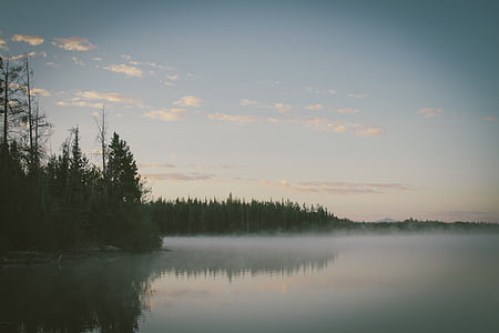 low angle view of body of water near pine trees thumbnail