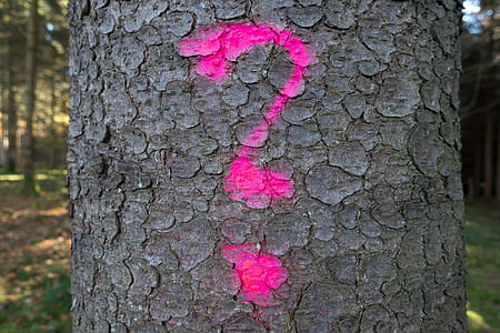 brown tree log thumbnail