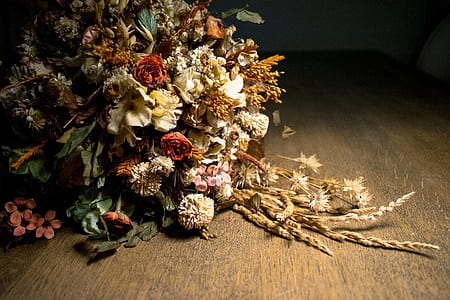 white and brown petaled flowers thumbnail