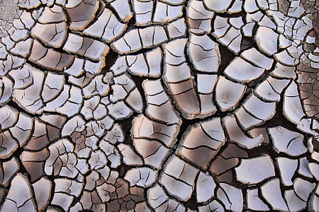 close up photo of cracked brown soil thumbnail