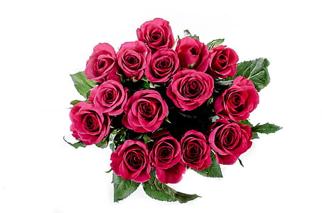 red rose bouquet illustration thumbnail