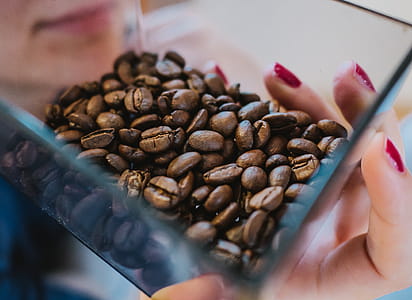 Person Holding Coffee Beans on Glass Bowl thumbnail