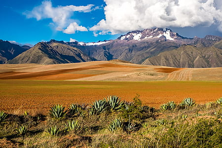 landscape photography of green field leading to snowy mountain thumbnail
