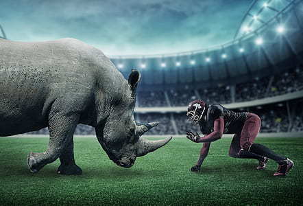 NFL player facing gray rhinoceros in stadium thumbnail
