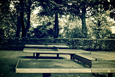 ping pong, table tennis thumbnail