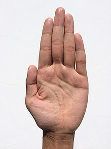 person raising left palm thumbnail