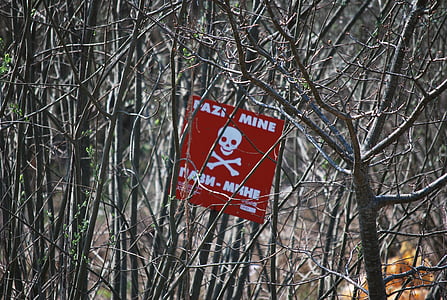 white and red Dazi-Mine signage in trees thumbnail
