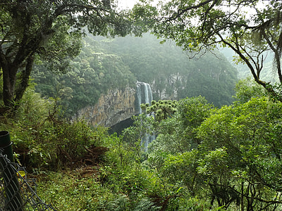 waterfalls surrounded by trees during daytime thumbnail