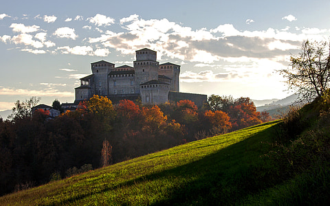 gray castle surrounded by trees during daytime thumbnail