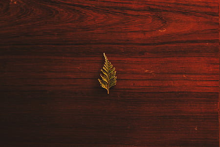 brown leaf on wooden board thumbnail