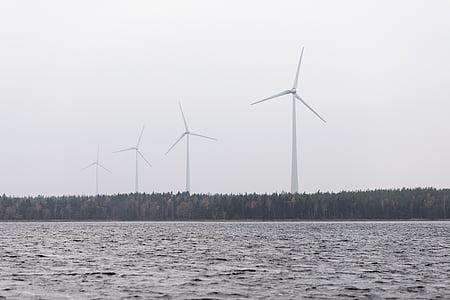 four white wind turbines beside trees across body of water photo thumbnail