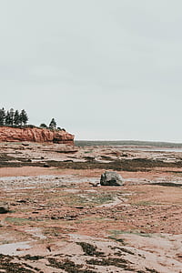 grey rock in distant of trees on rock montain thumbnail