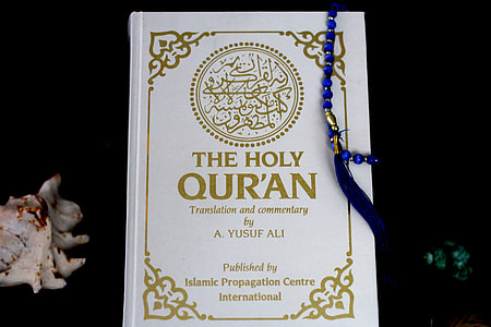The Holy Qur'an thumbnail
