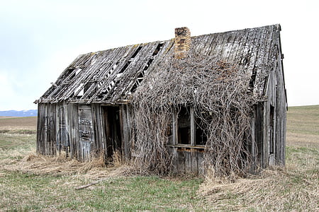 brown wooden barn thumbnail