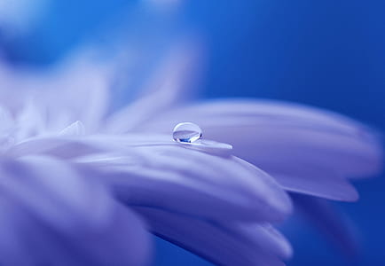 microscopic photo of dewdrop thumbnail