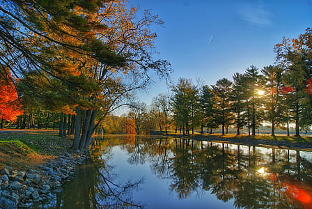 Scenic View of the Trees thumbnail