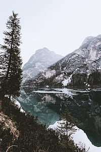 trees near lake next to mountain thumbnail