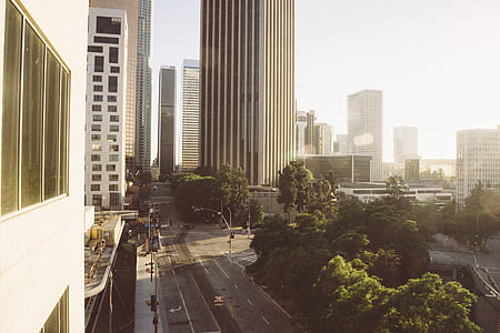 green trees in the middle of the city thumbnail