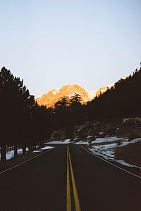 roadway between trees photo at daytime thumbnail