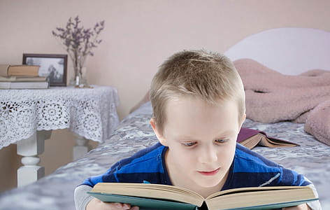 Boy reading a book in a bedroom. thumbnail