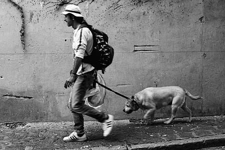 Grayscale Photography Of Man Walking With Dog thumbnail