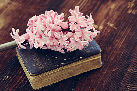 pink flowers on black book thumbnail