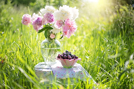 pink and white flowers on clear glass vase thumbnail