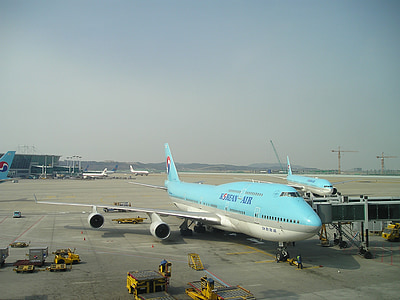 blue and gray commercial plane at daytime thumbnail