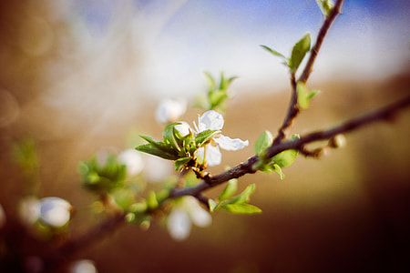 Are you prepared for spring? thumbnail
