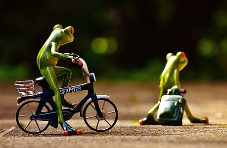 green frog thumbnail