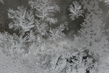 ice, frozen, glass, winter, snow, flake thumbnail
