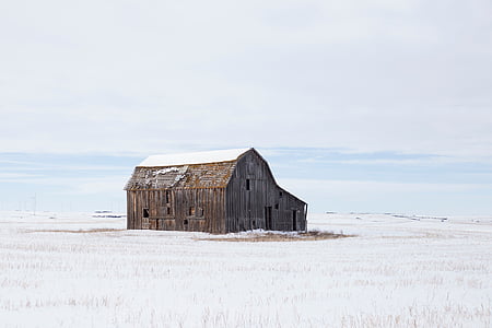brown wooden barn under cloudy sky at daytime thumbnail