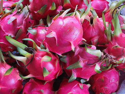 dragon fruit lot thumbnail