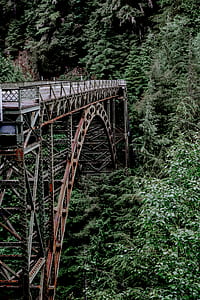 bridge, architecture, vintage, british columbium thumbnail