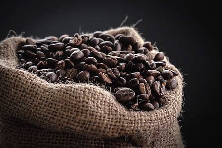 close up photography of coffee grain thumbnail