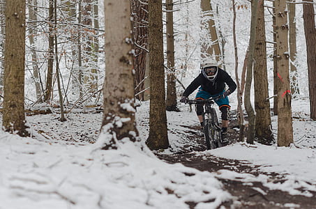 person riding bicycle on forest thumbnail