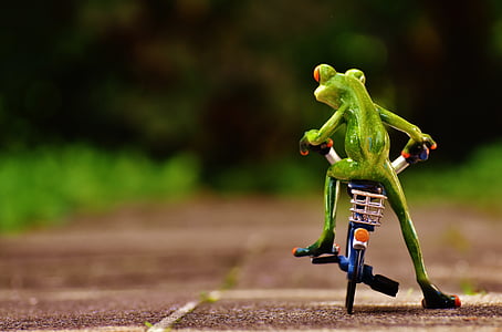 green frog on blue bicycle during daytime thumbnail