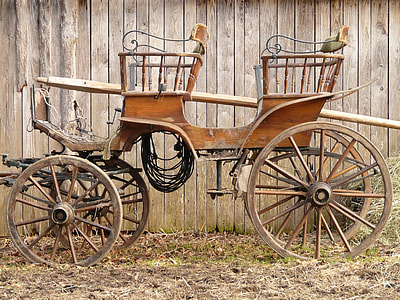 brown carriage near brown wooden fence thumbnail