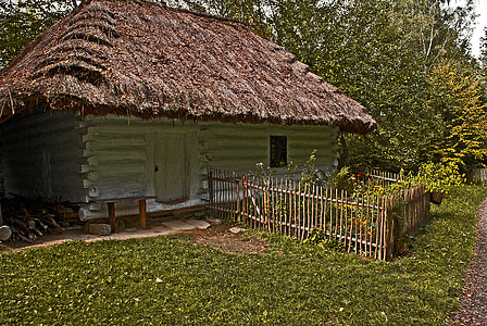 gray house near tree thumbnail