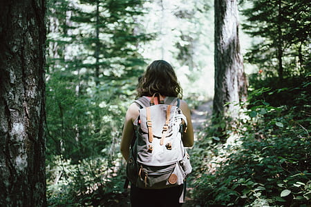 woman wearing gray and orange knapsack bag thumbnail