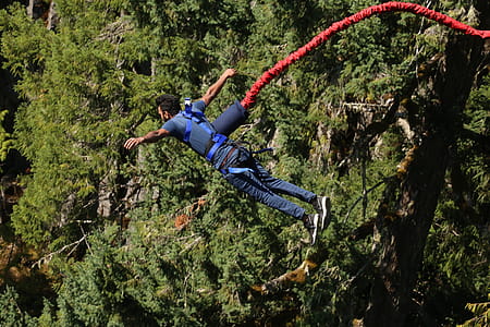 man, person, trees, jump thumbnail