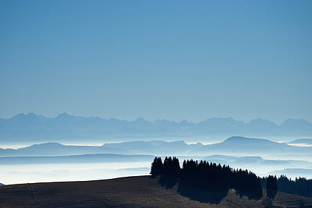 silhouette of pine trees on top of mountain during daytime thumbnail