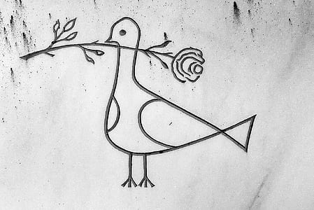 bird illustration thumbnail