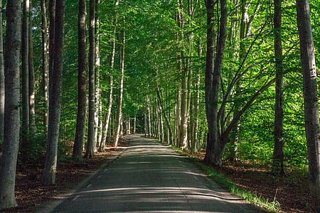 gray asphalt road thumbnail