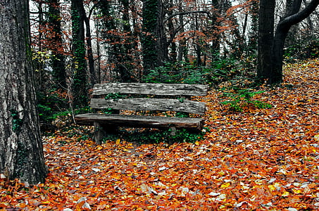brown wooden bench thumbnail