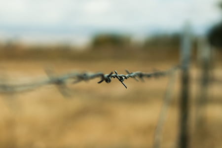 selective focus photography of barbed wire thumbnail