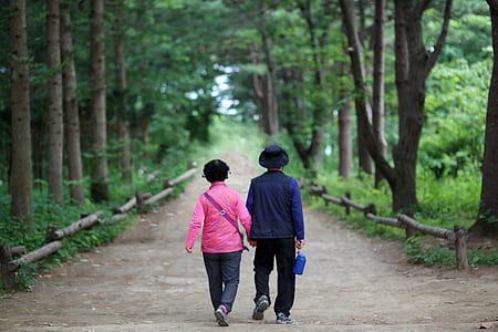 man and woman holding hands while walking on gray pathway in between trees thumbnail