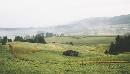 green grass field thumbnail