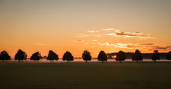 in distant photo of silhouette of trees during golden hour thumbnail