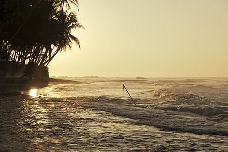 sea, dawn, nature, sky thumbnail